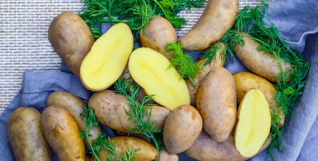 Kuorellisia puikulaperunoita